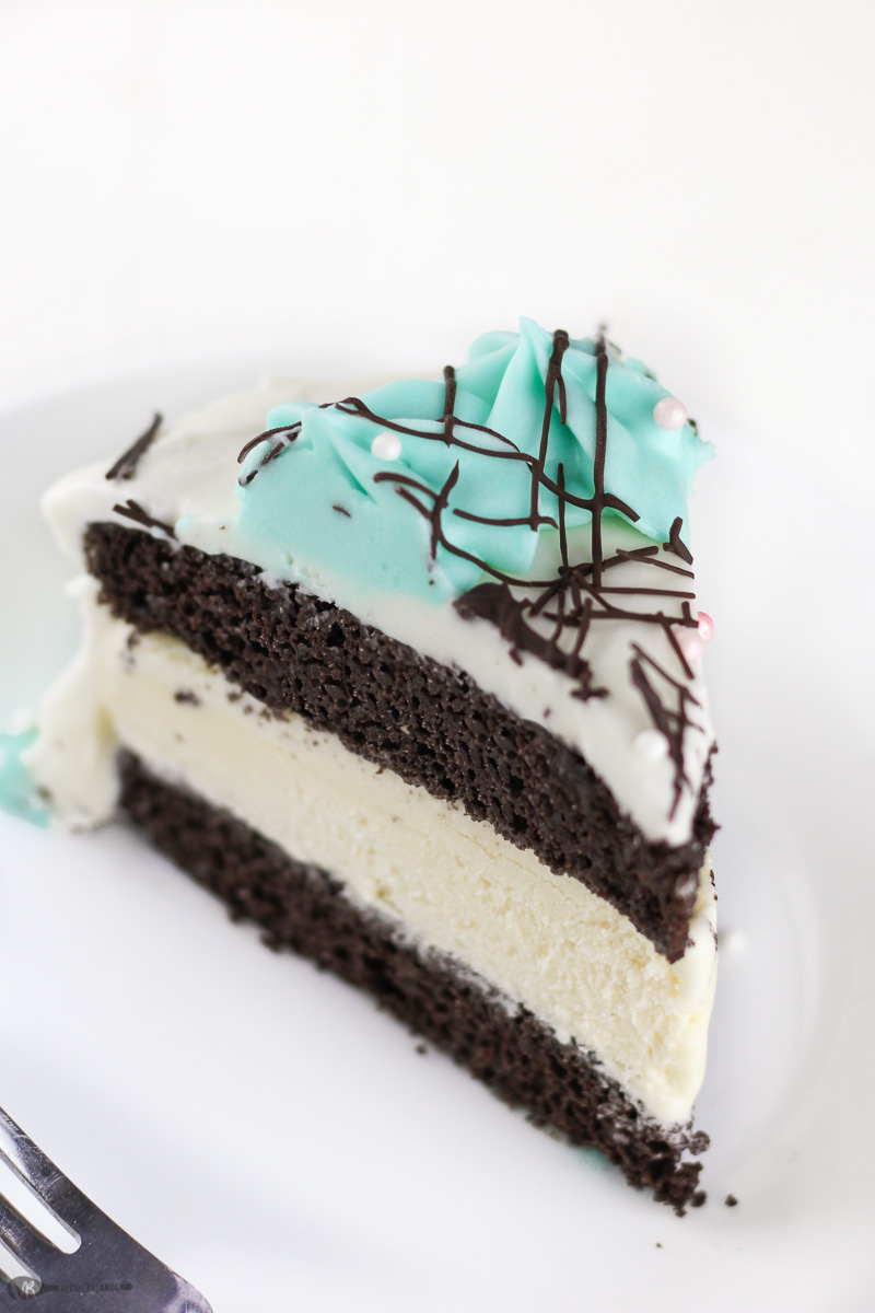 Gluten-Free Ice Cream Cake Recipe - VeggieBalance